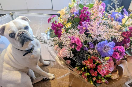 Florist
