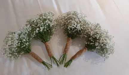 Florist