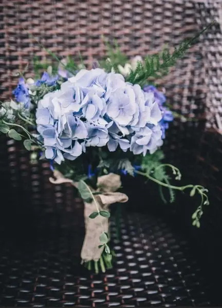 Florist