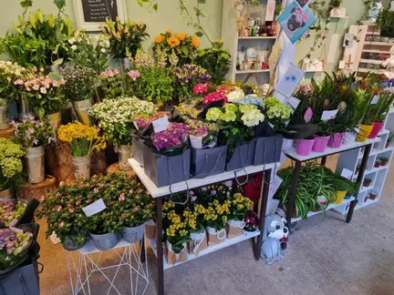 Florist